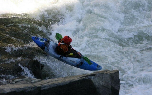 Sage FLYING